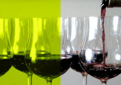 copertina quale bicchieri usare per il vino