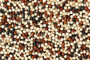 Immagine semi di quinoa