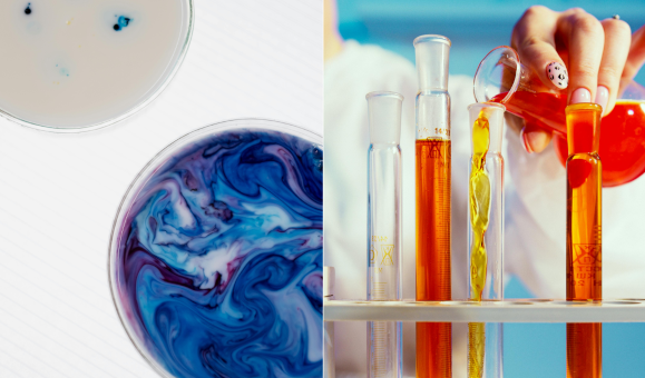 Guida agli additivi alimentari per consumatori consapevoli
